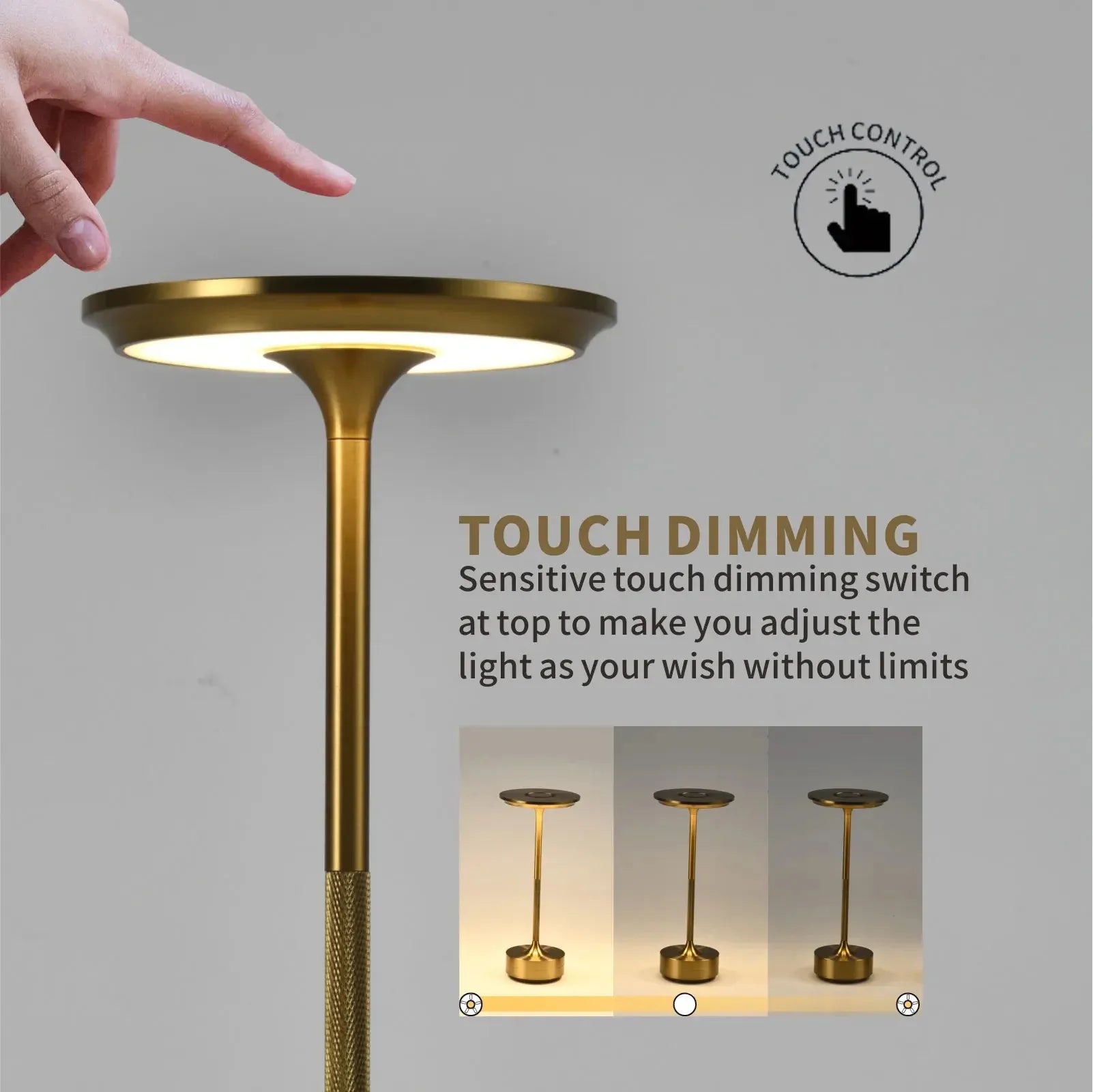 LED Desktop Lamp USB Touch Dimming Metal Recharge Night Light