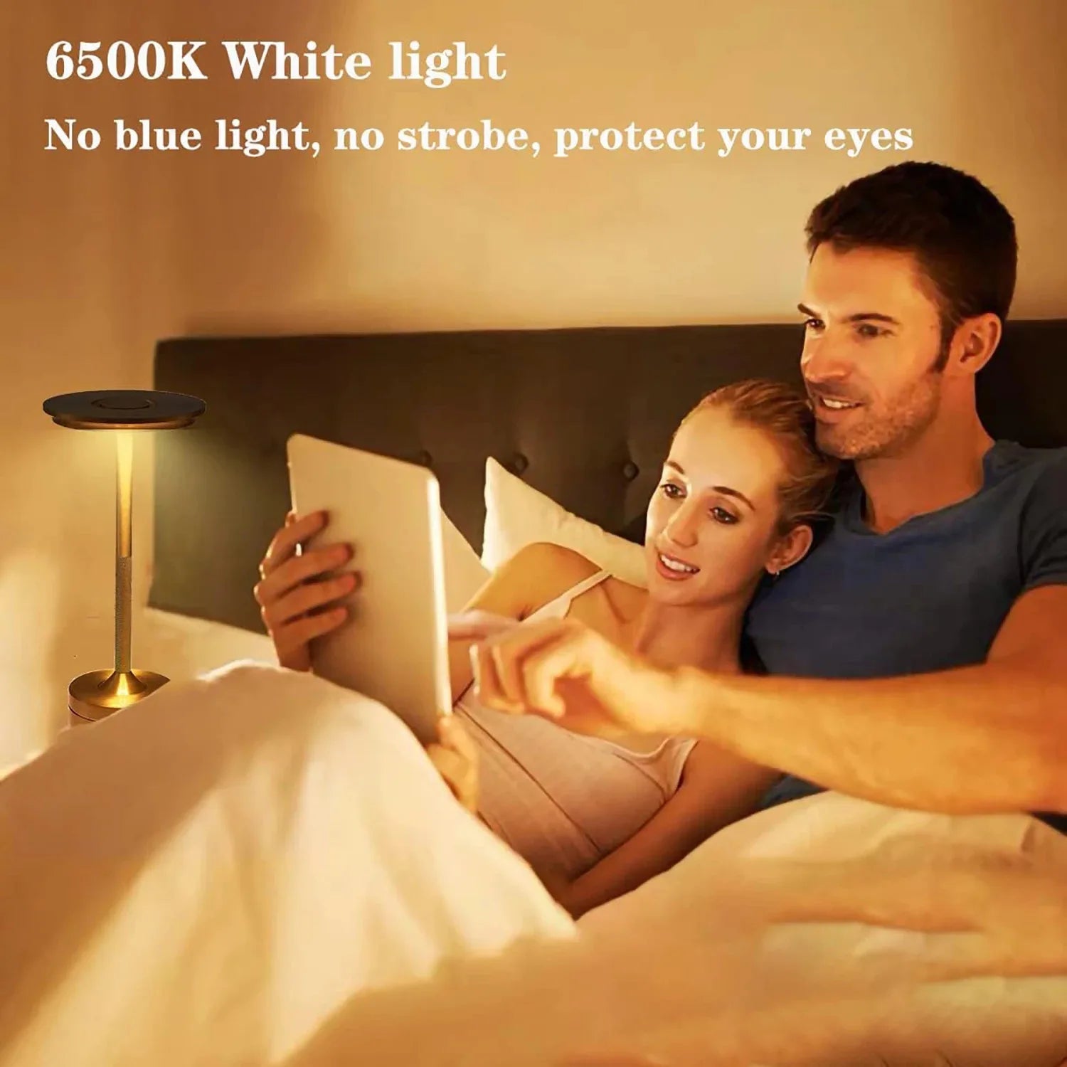 LED Desktop Lamp USB Touch Dimming Metal Recharge Night Light